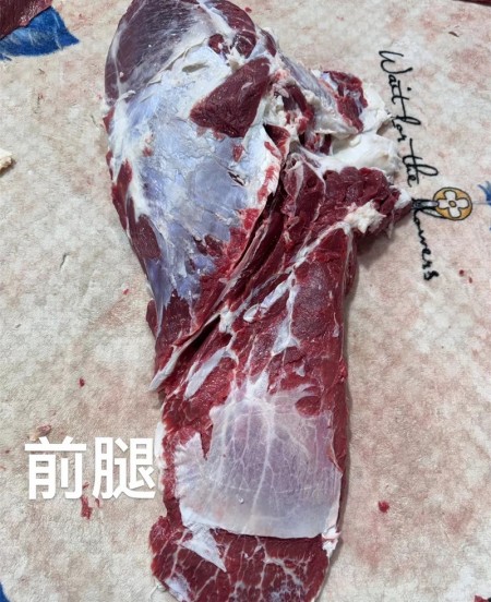 前腿