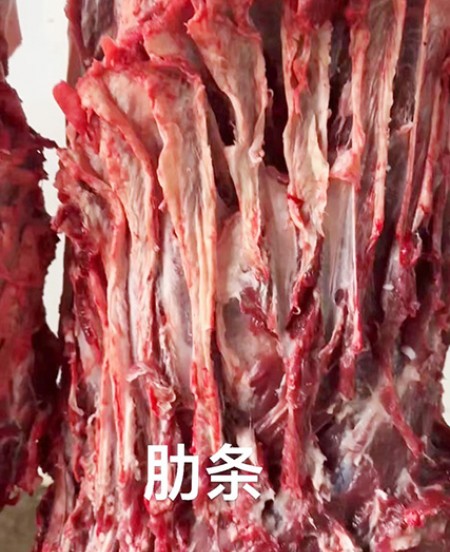 肋條
